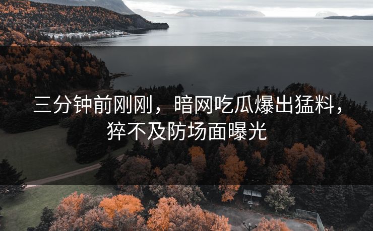 三分钟前刚刚，暗网吃瓜爆出猛料，猝不及防场面曝光